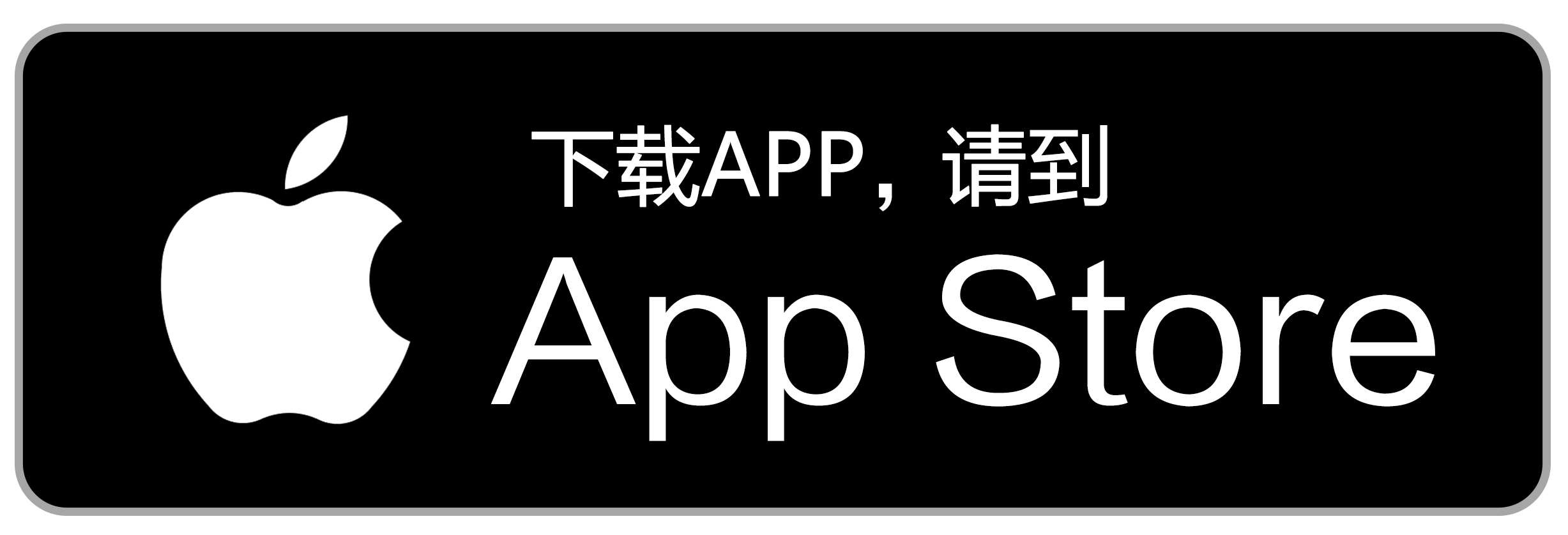 App Store 下载